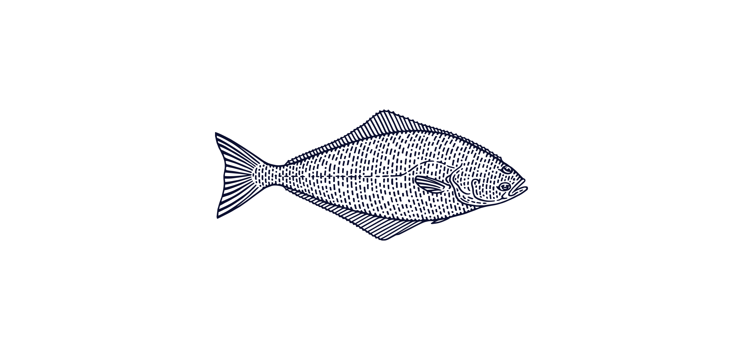 Alaska Halibut