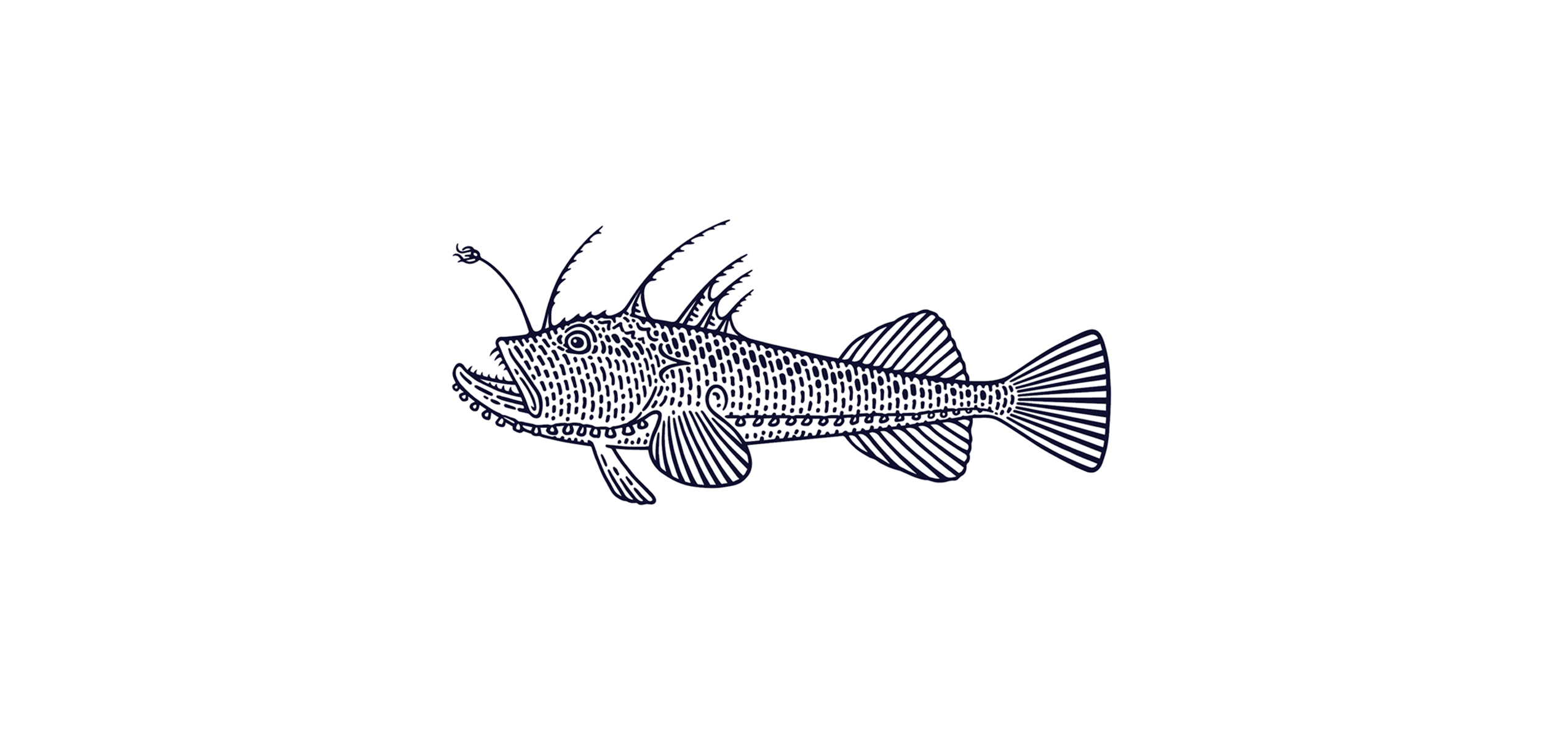 Catch of the Week: Monkfish