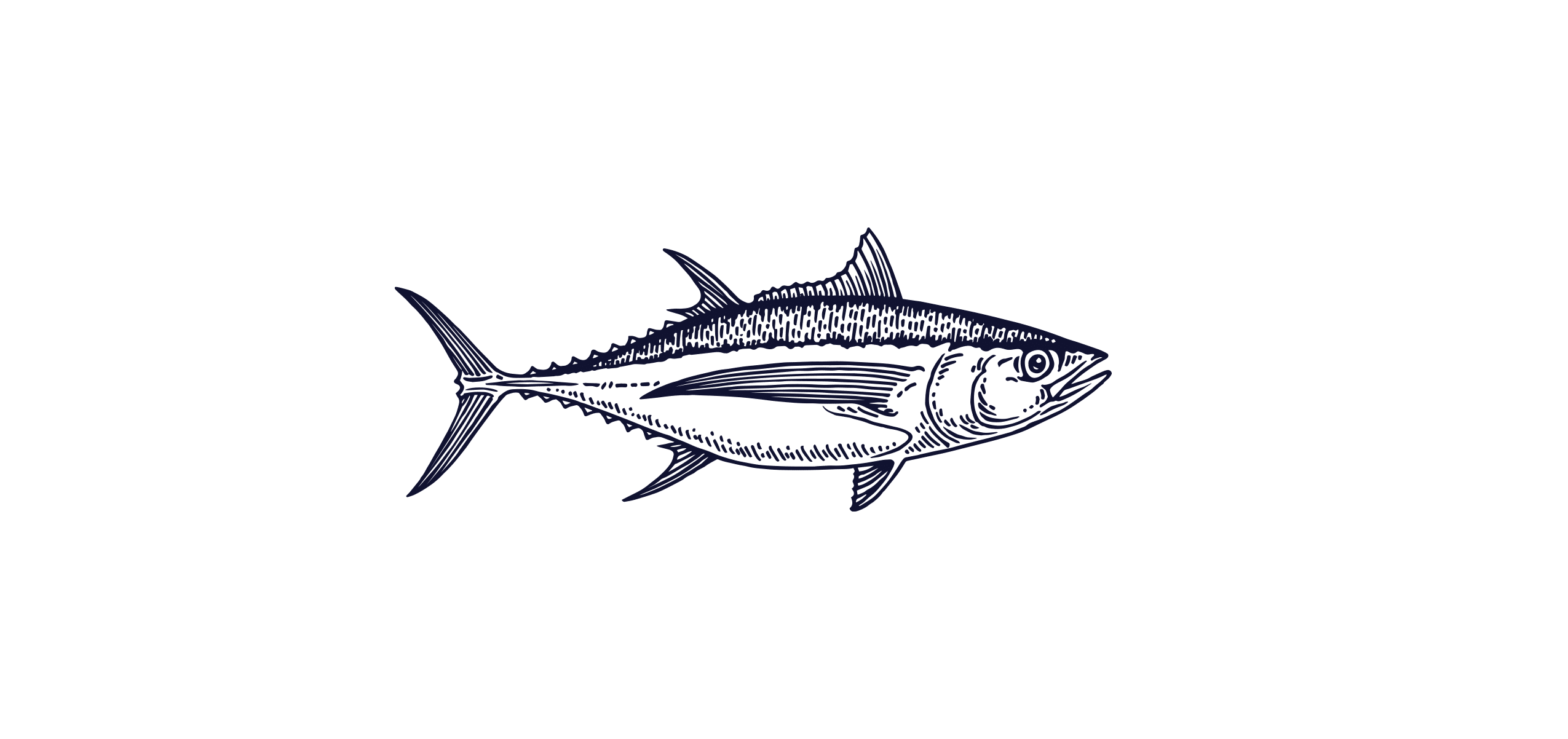 Catch of the Week: Tombo (Albacore Tuna)