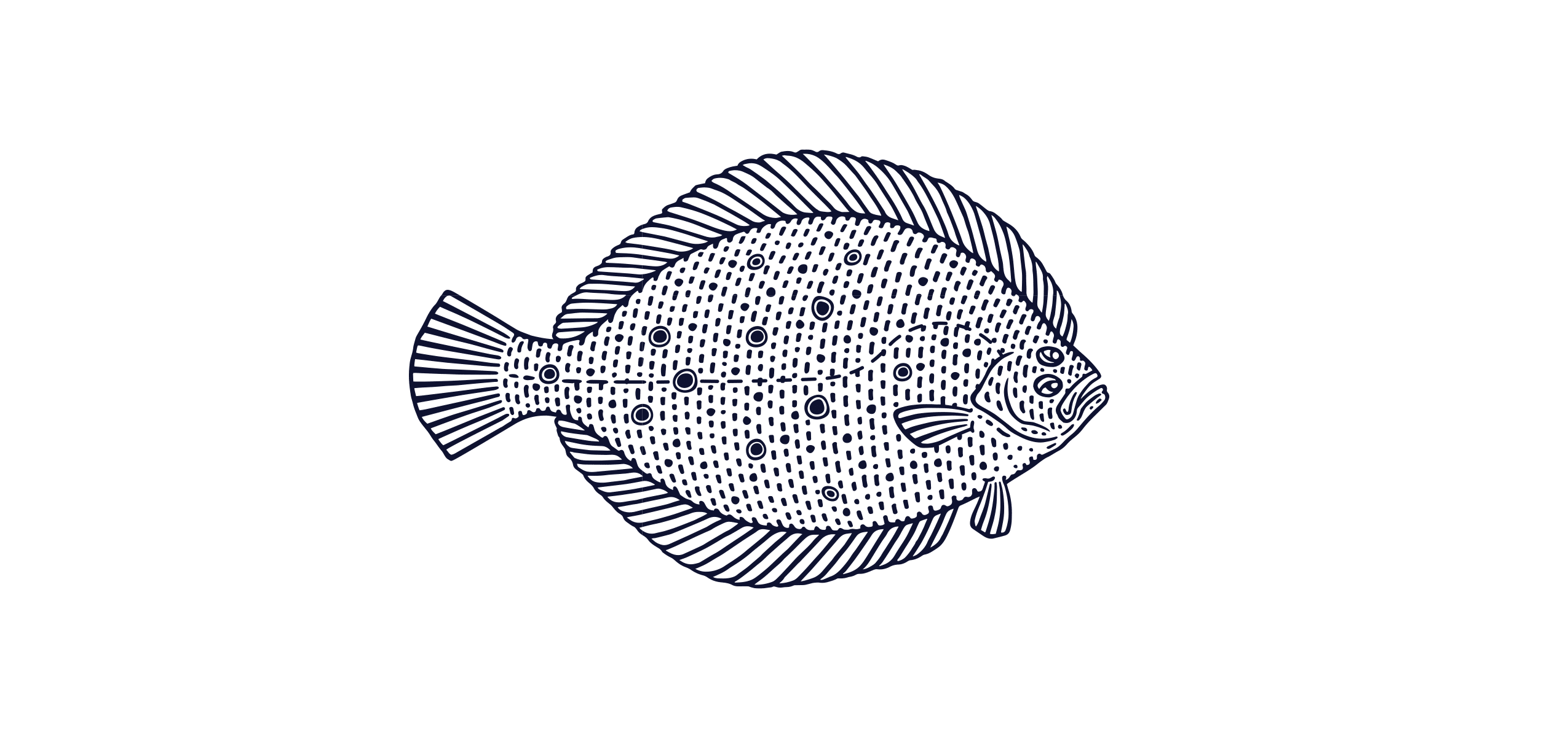 Fluke
