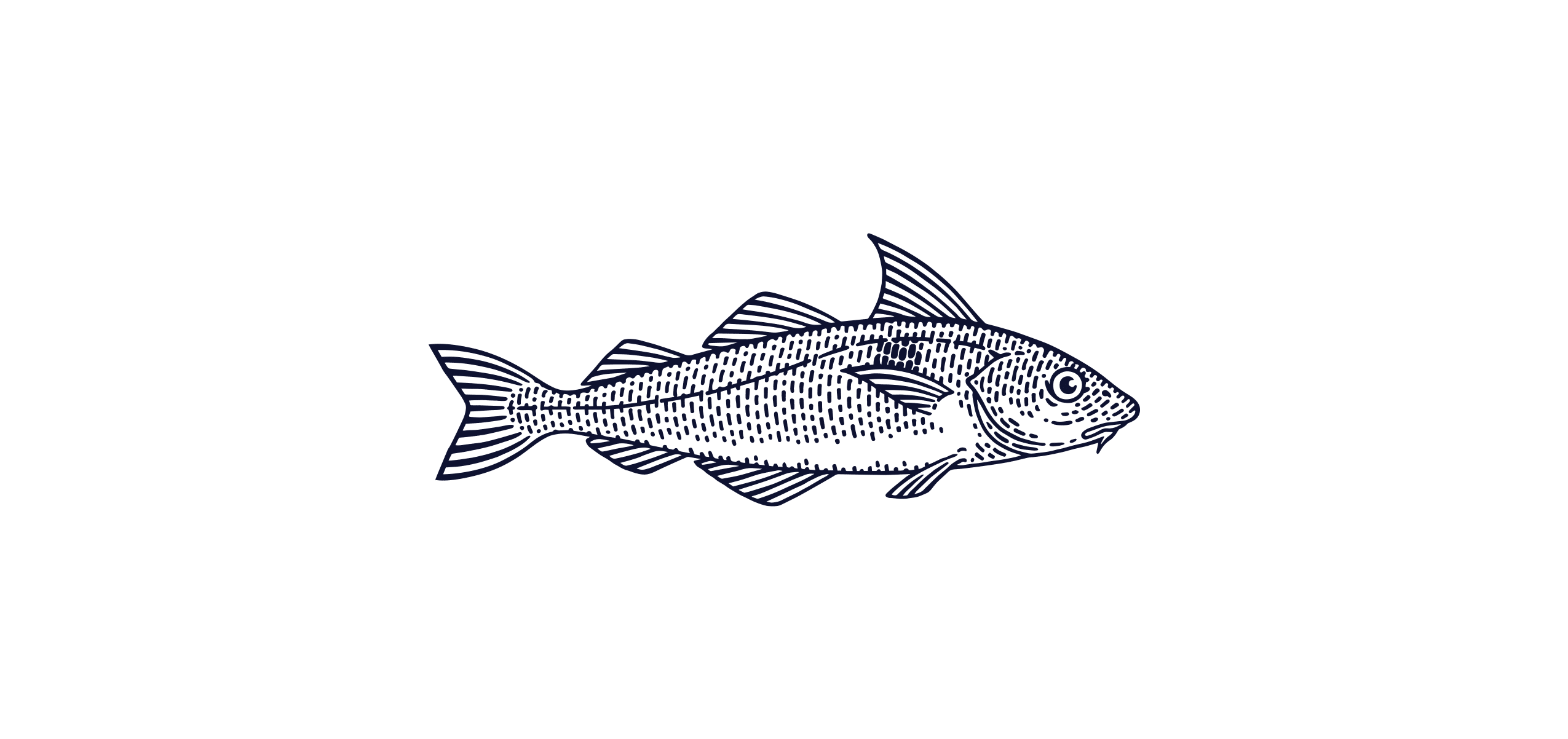 Catch of the Week: Haddock