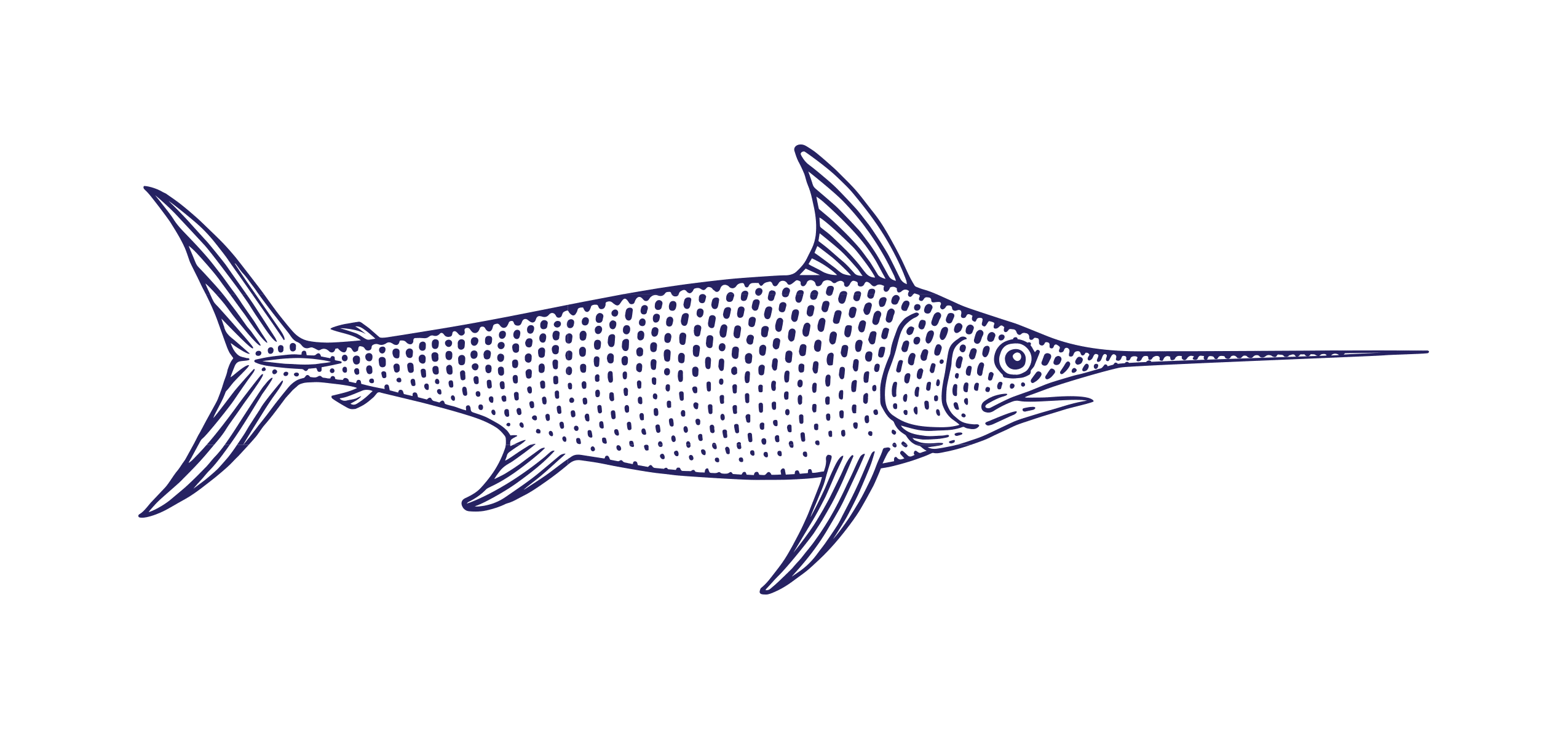 Swordfish