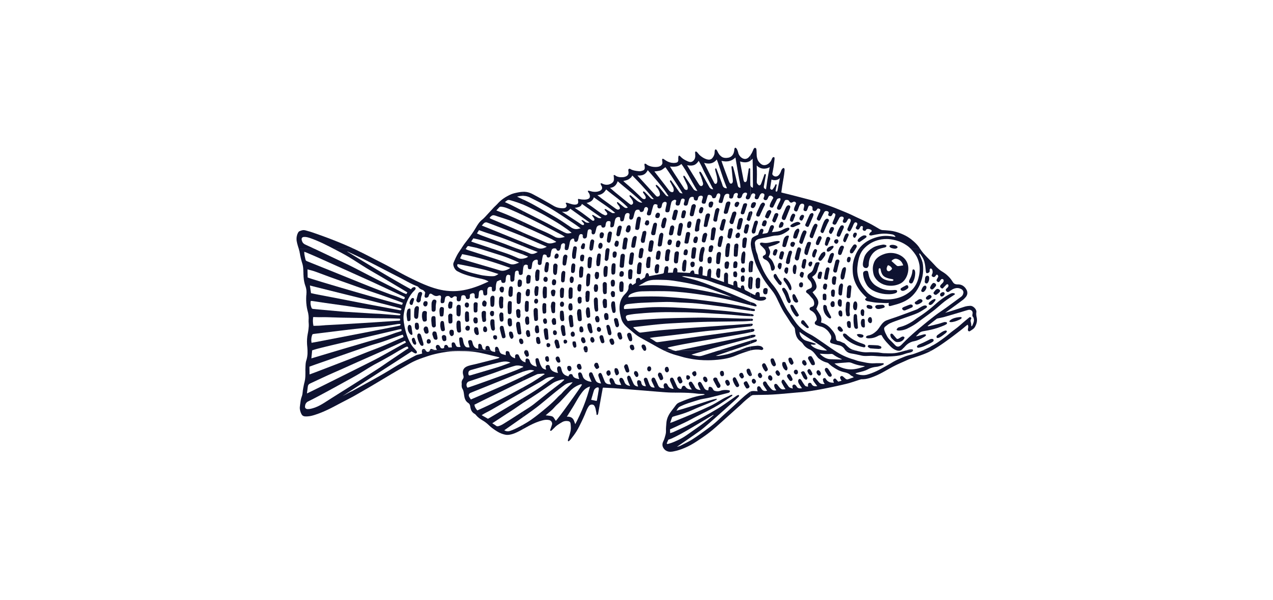 Catch of the Week: Acadian Redfish