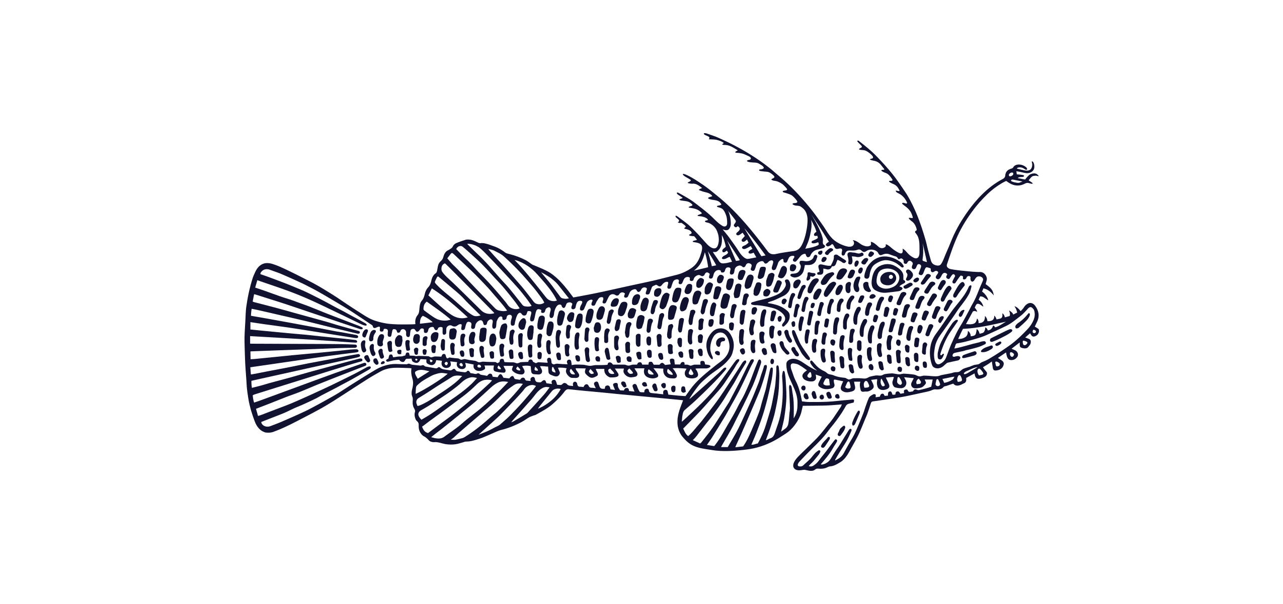 Monkfish