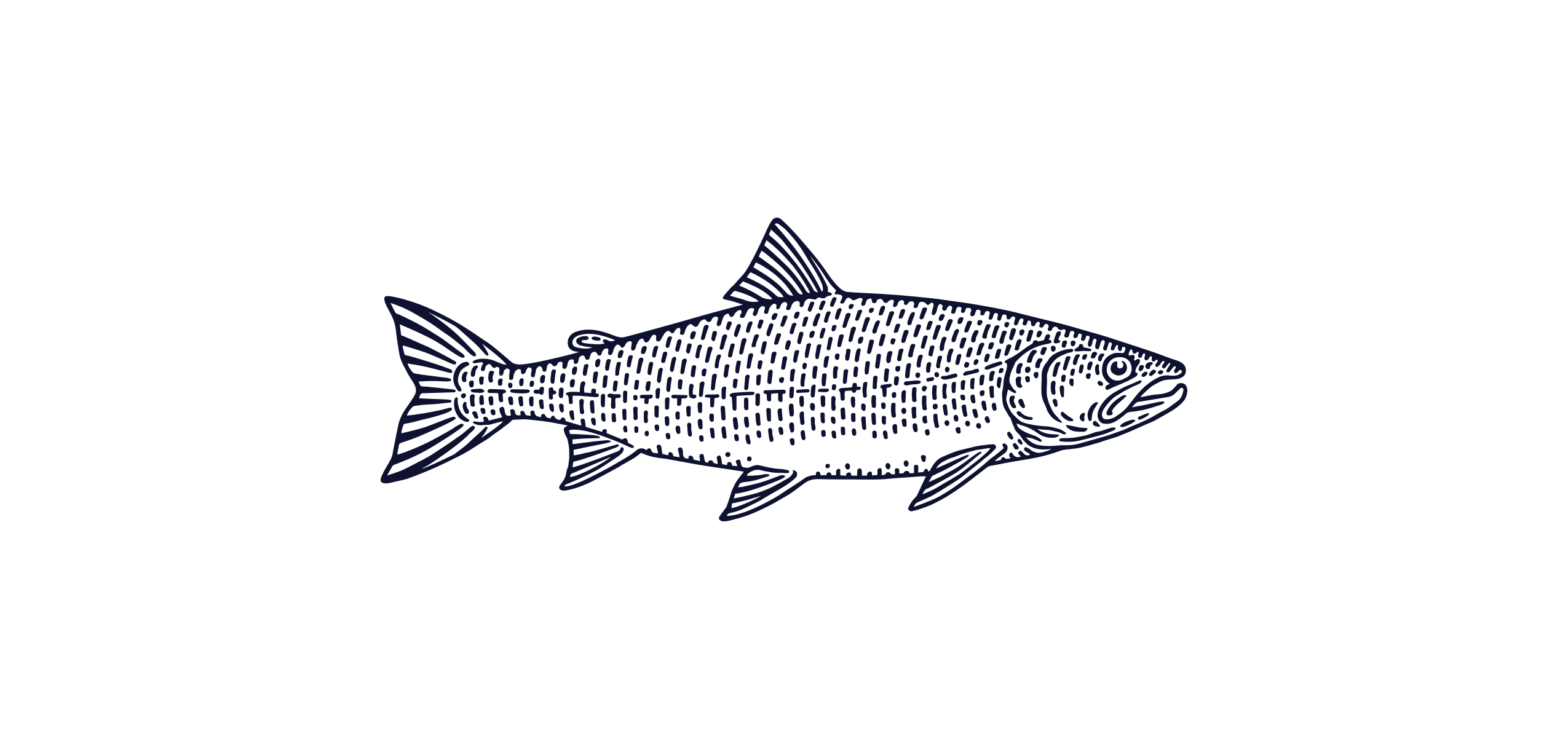 Arctic Charr