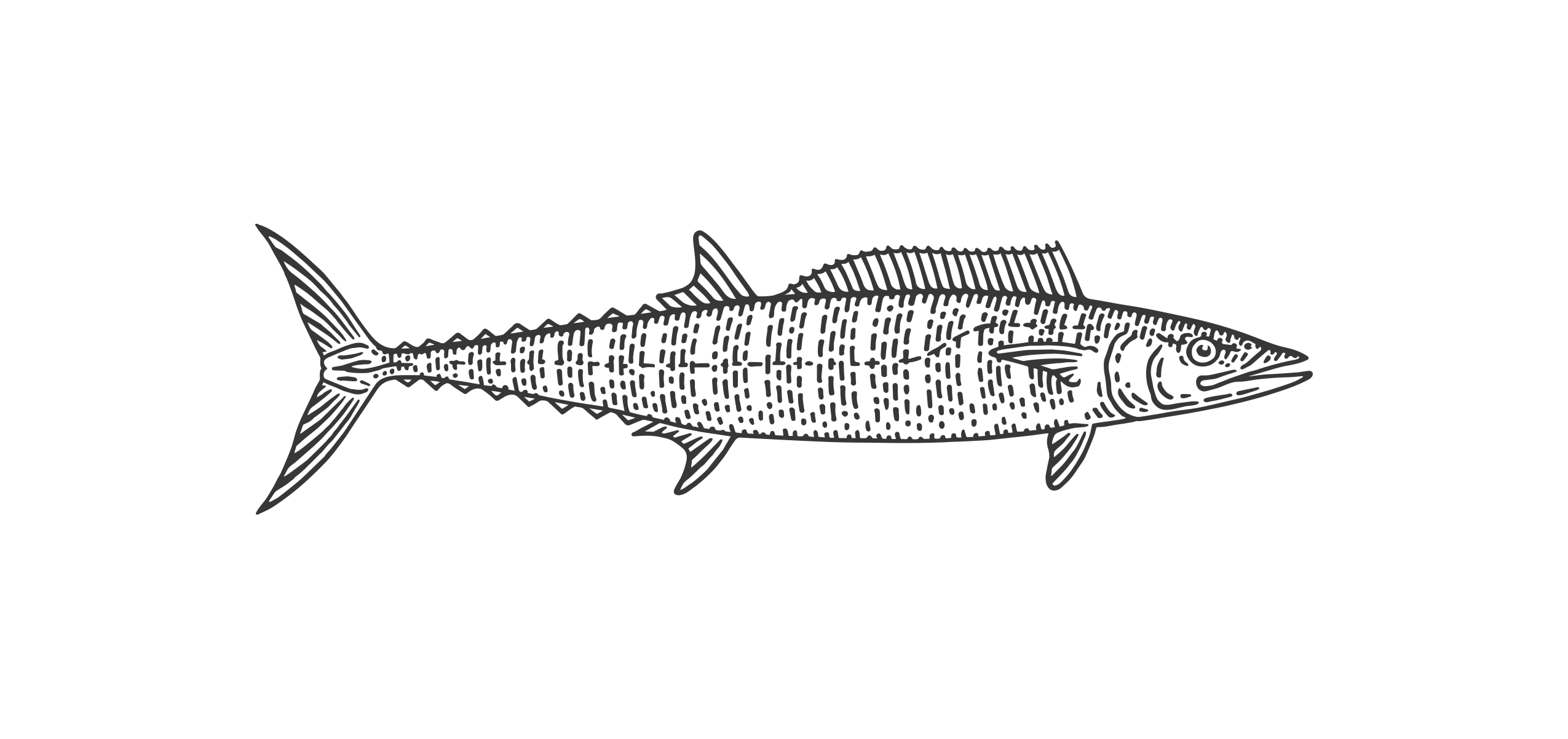 Wahoo