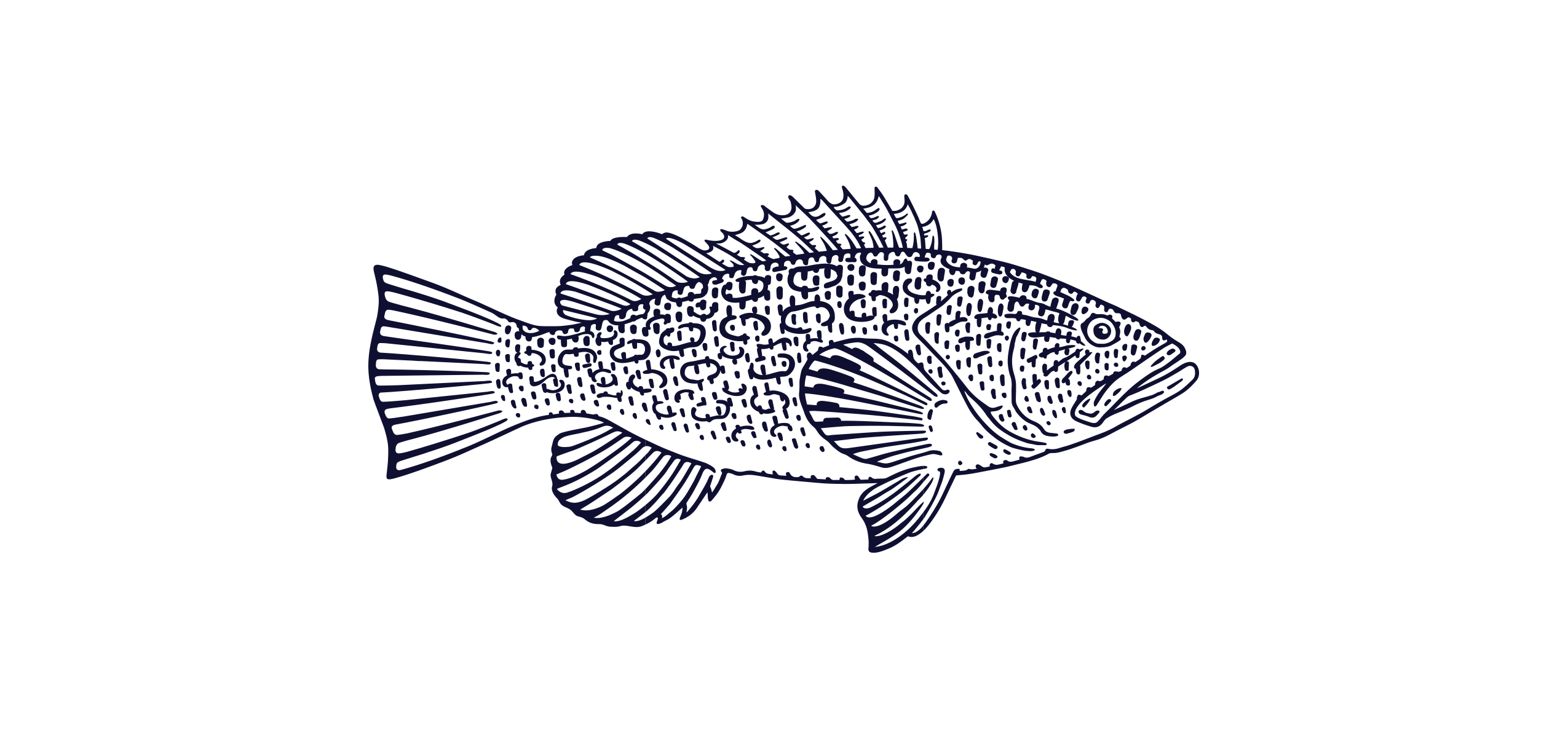 Red Grouper
