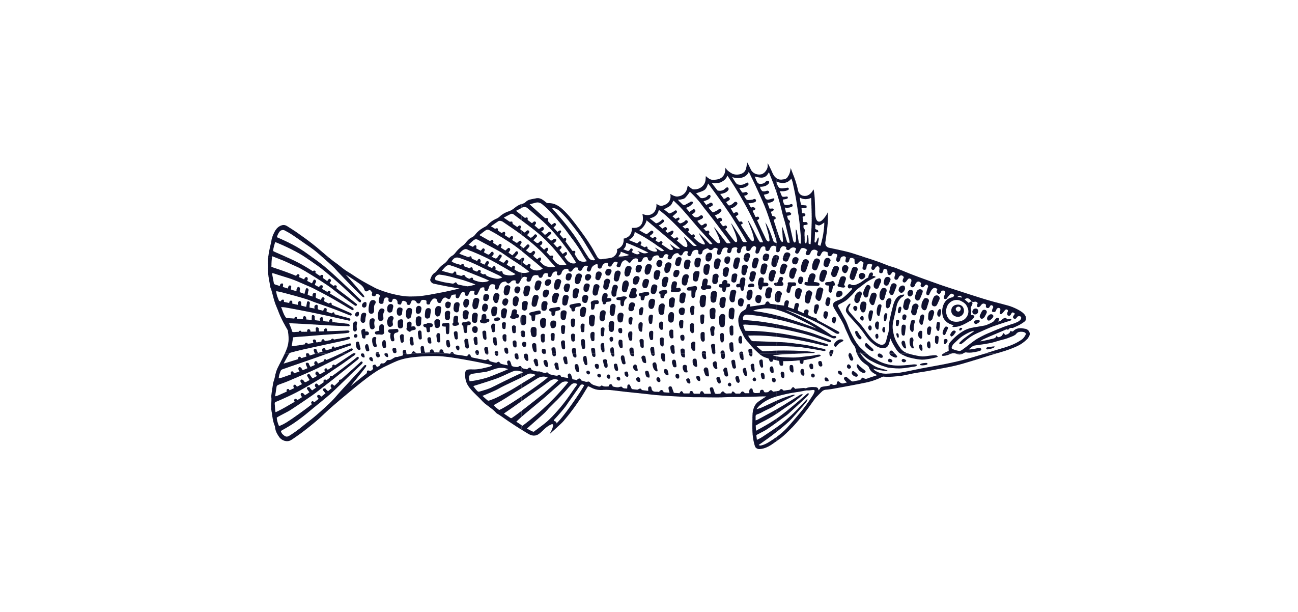 Walleye