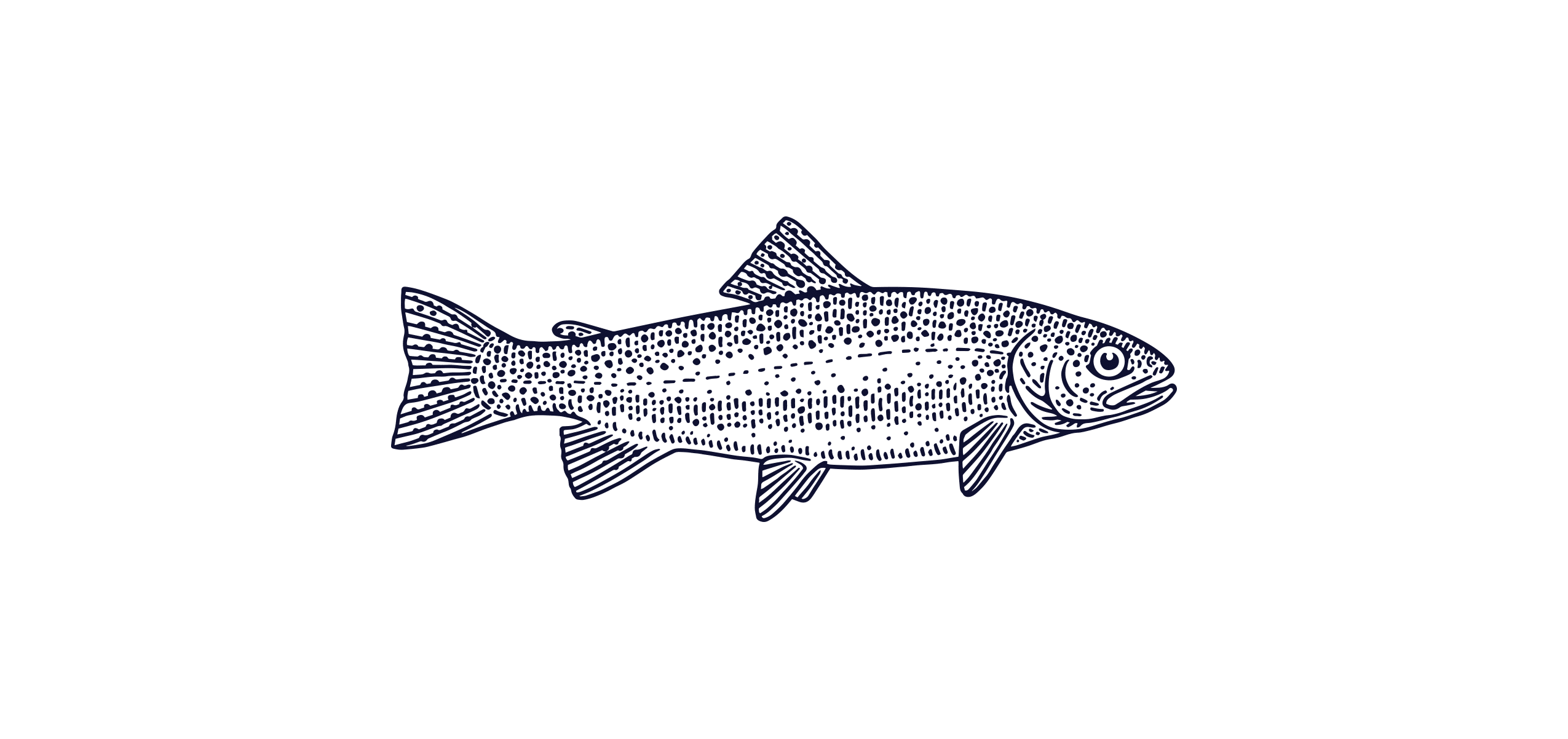 Rainbow Trout