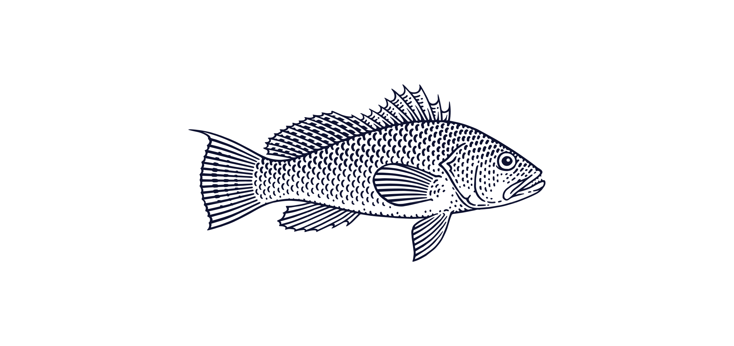 Gold Spotted Sand Bass