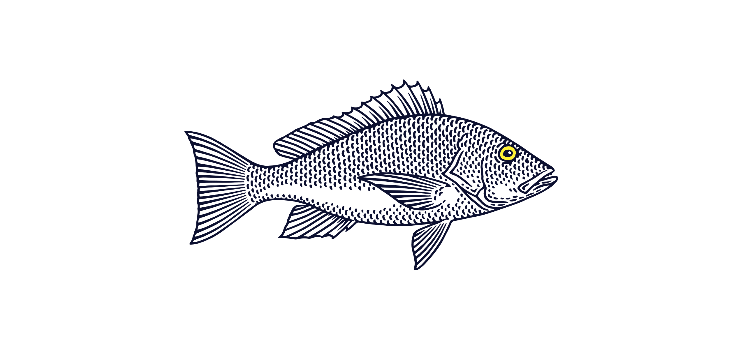 Yelloweye Snapper