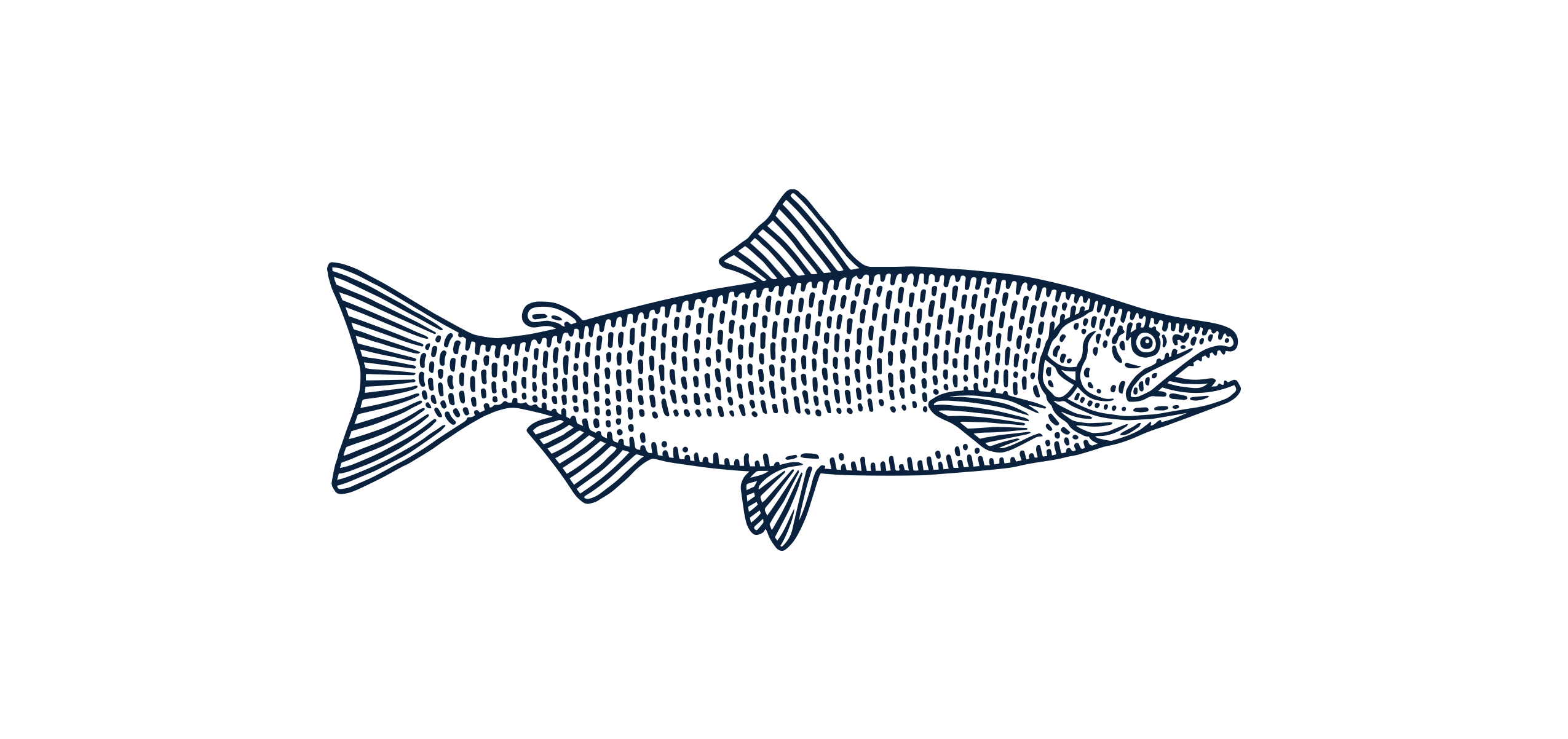 Copper River Sockeye