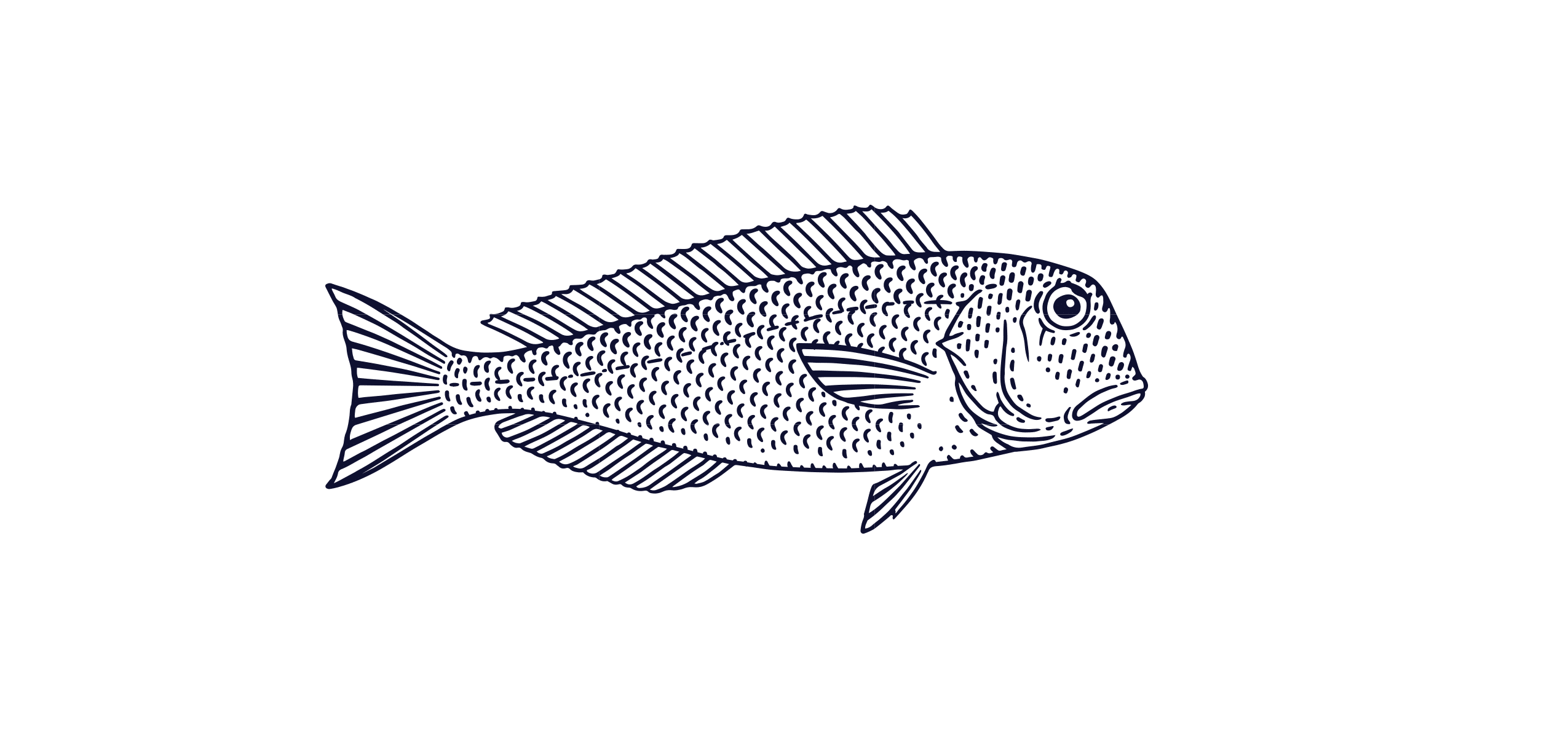 Golden Tilefish