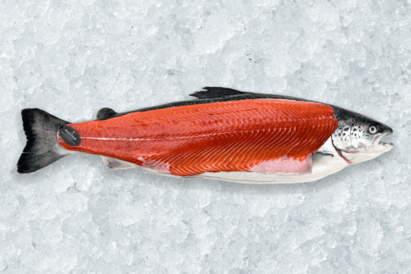 New Salmon Background_Website2