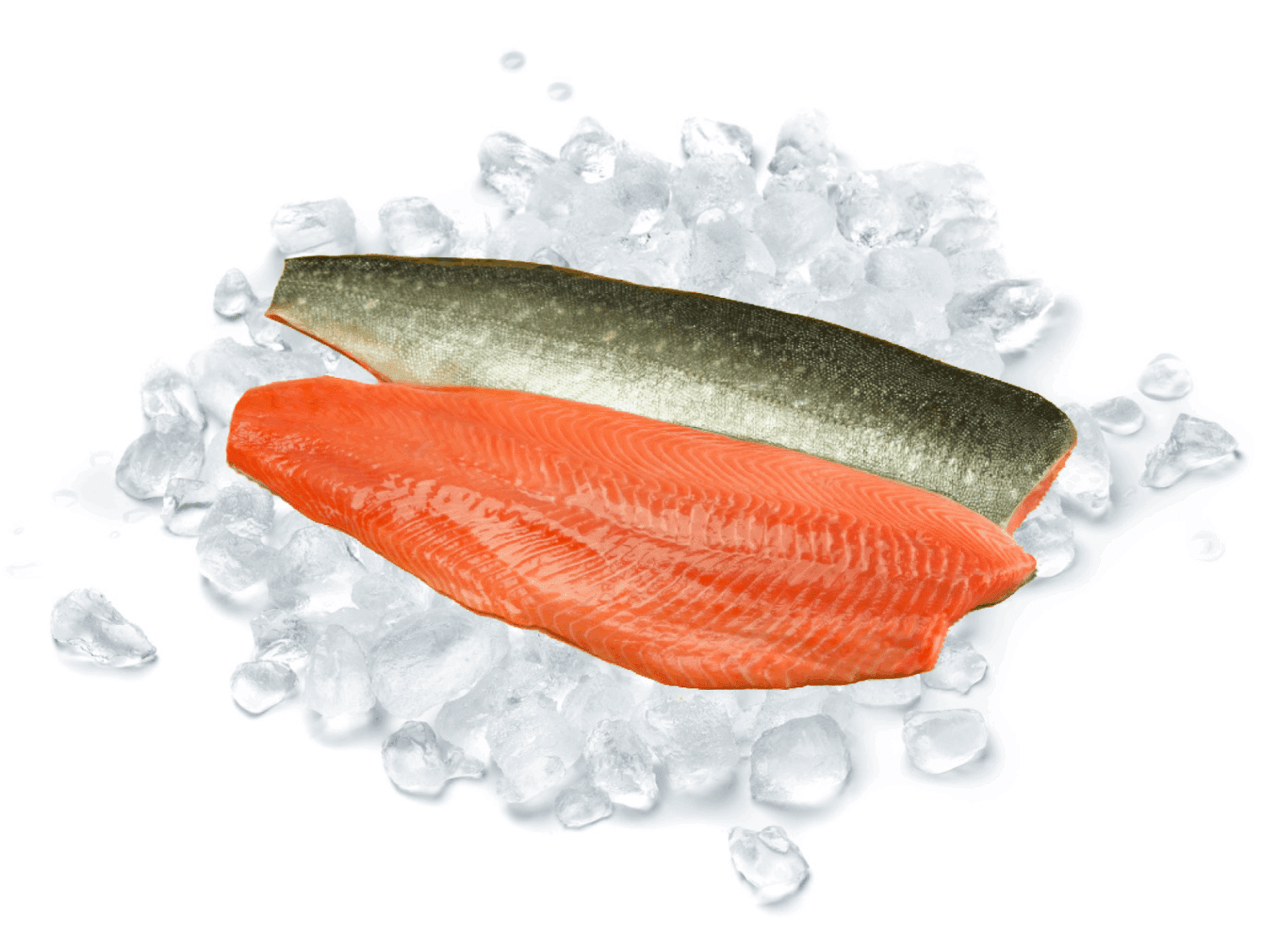 Arctic Charr - Superior Foods Company