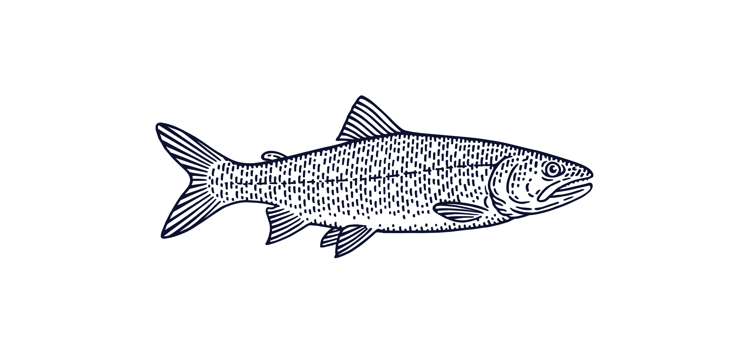 Lake Trout