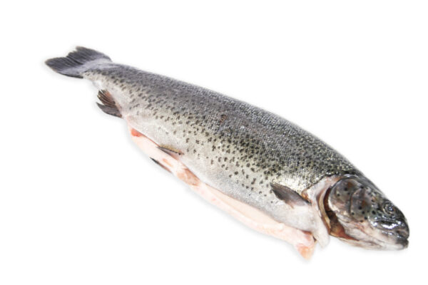 Rainbow Trout Dressed_No Background Rainbow Trout Dressed_No Background